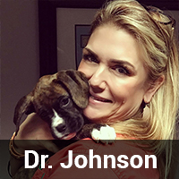 Dr Johnson