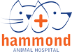 Vet In Tulsa | Hammond Animal Hospital Logo