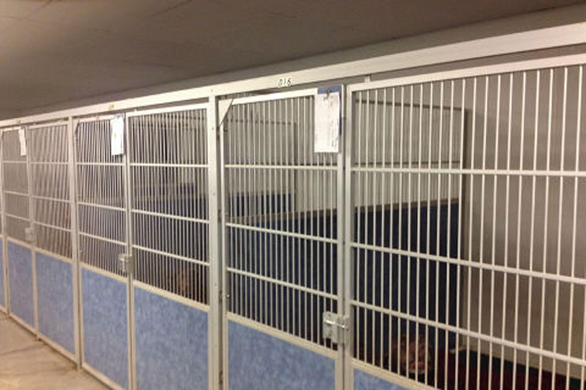 pets cage